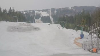 Подобовець 8 березня 2019 року, 2019-03-08 10:00