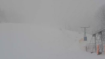 Подобовець 4 лютого 2020 року, 2020-02-04 13:00