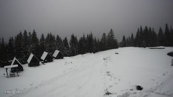 Маґура 29 січня 2021 року, 2021-01-29 13:00