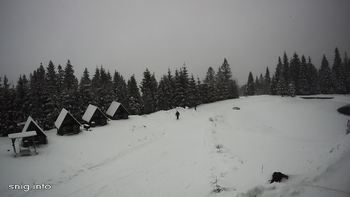 Маґура 30 січня 2021 року, 2021-01-30 16:00