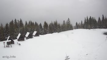Маґура 12 березня 2021 року, 2021-03-12 13:00
