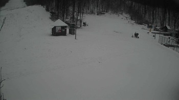 Воєводино 21 грудня 2017 року, 2017-12-21 16:00