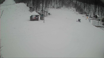 Воєводино 22 грудня 2017 року, 2017-12-22 10:00