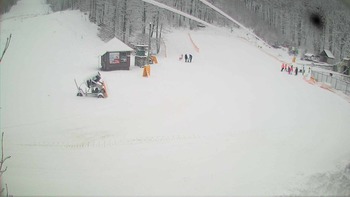 Воєводино 21 січня 2018 року, 2018-01-21 10:00