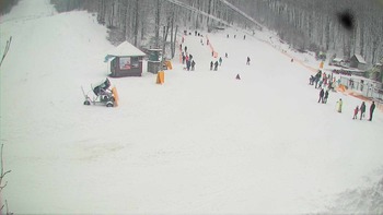 Воєводино 21 січня 2018 року, 2018-01-21 13:00