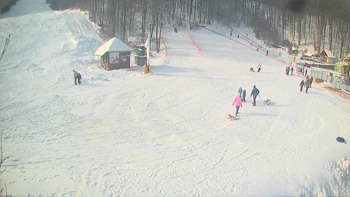 Воєводино 25 січня 2018 року, 2018-01-25 13:00