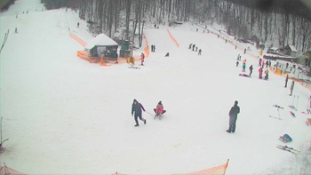 Воєводино 27 січня 2018 року, 2018-01-27 13:00