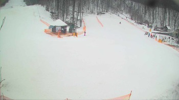 Воєводино 28 січня 2018 року, 2018-01-28 10:00