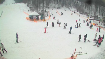 Воєводино 28 січня 2018 року, 2018-01-28 13:00