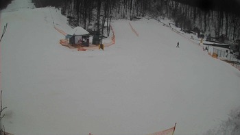 Воєводино 29 січня 2018 року, 2018-01-29 10:00
