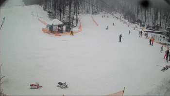Воєводино 29 січня 2018 року, 2018-01-29 13:00