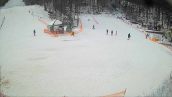 Воєводино 30 січня 2018 року, 2018-01-30 16:00