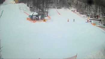 Воєводино 31 січня 2018 року, 2018-01-31 10:00