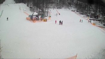 Воєводино 31 січня 2018 року, 2018-01-31 16:00