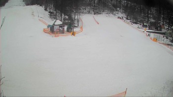 Воєводино 1 лютого 2018 року, 2018-02-01 10:00
