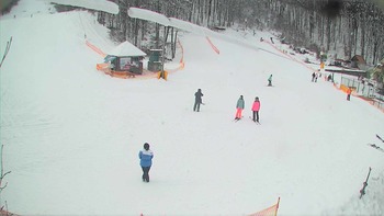 Воєводино 7 лютого 2018 року, 2018-02-07 13:00