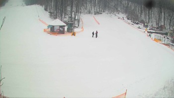 Воєводино 8 лютого 2018 року, 2018-02-08 10:00