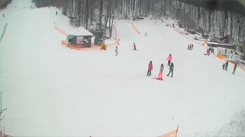 Воєводино 8 лютого 2018 року, 2018-02-08 13:00