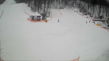 Воєводино 8 лютого 2018 року, 2018-02-08 16:00