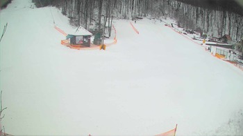 Воєводино 9 лютого 2018 року, 2018-02-09 10:00