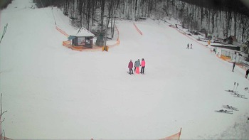 Воєводино 9 лютого 2018 року, 2018-02-09 16:00