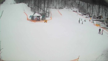 Воєводино 12 лютого 2018 року, 2018-02-12 13:00