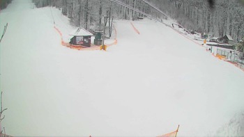 Воєводино 13 лютого 2018 року, 2018-02-13 10:00