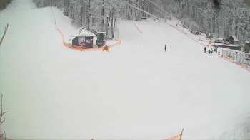 Воєводино 17 лютого 2018 року, 2018-02-17 10:00