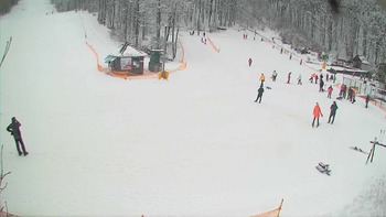 Воєводино 17 лютого 2018 року, 2018-02-17 13:00