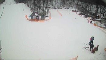 Воєводино 2 березня 2018 року, 2018-03-02 16:00