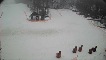 Воєводино 9 березня 2018 року, 2018-03-09 10:00