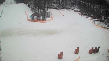 Воєводино 9 березня 2018 року, 2018-03-09 13:00