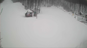 Воєводино 18 березня 2018 року, 2018-03-18 10:00