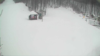 Воєводино 20 березня 2018 року, 2018-03-20 10:00