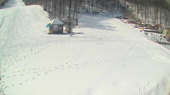 Воєводино 22 березня 2018 року, 2018-03-22 13:00