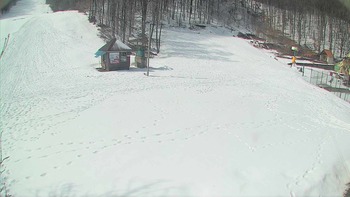 Воєводино 23 березня 2018 року, 2018-03-23 13:00