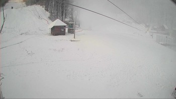 Воєводино 19 грудня 2018 року, 2018-12-19 10:00