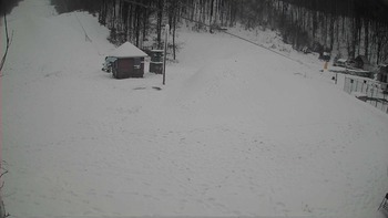 Воєводино 22 грудня 2018 року, 2018-12-22 13:00