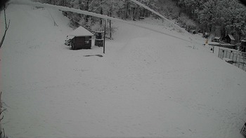 Воєводино 24 грудня 2018 року, 2018-12-24 10:00