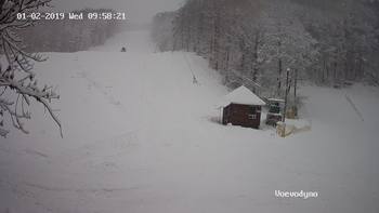 Воєводино 2 січня 2019 року, 2019-01-02 10:00