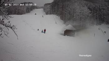 Воєводино 2 січня 2019 року, 2019-01-02 13:00