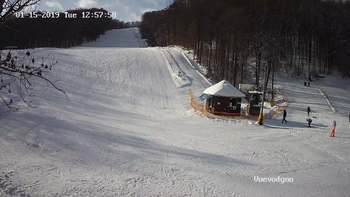 Воєводино 15 січня 2019 року, 2019-01-15 13:00