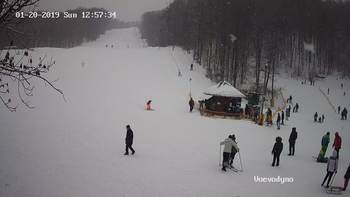 Воєводино 20 січня 2019 року, 2019-01-20 13:00
