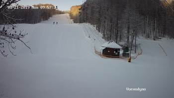 Воєводино 21 січня 2019 року, 2019-01-21 10:00
