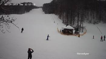 Воєводино 24 січня 2019 року, 2019-01-24 13:00
