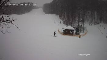 Воєводино 24 січня 2019 року, 2019-01-24 16:00