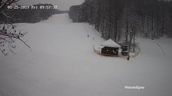 Воєводино 25 січня 2019 року, 2019-01-25 10:00