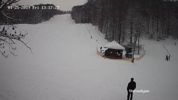 Воєводино 25 січня 2019 року, 2019-01-25 13:00