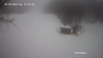 Воєводино 29 січня 2019 року, 2019-01-29 13:00
