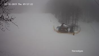 Воєводино 31 січня 2019 року, 2019-01-31 10:00